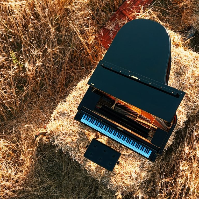 Concerto nel campo di Grano