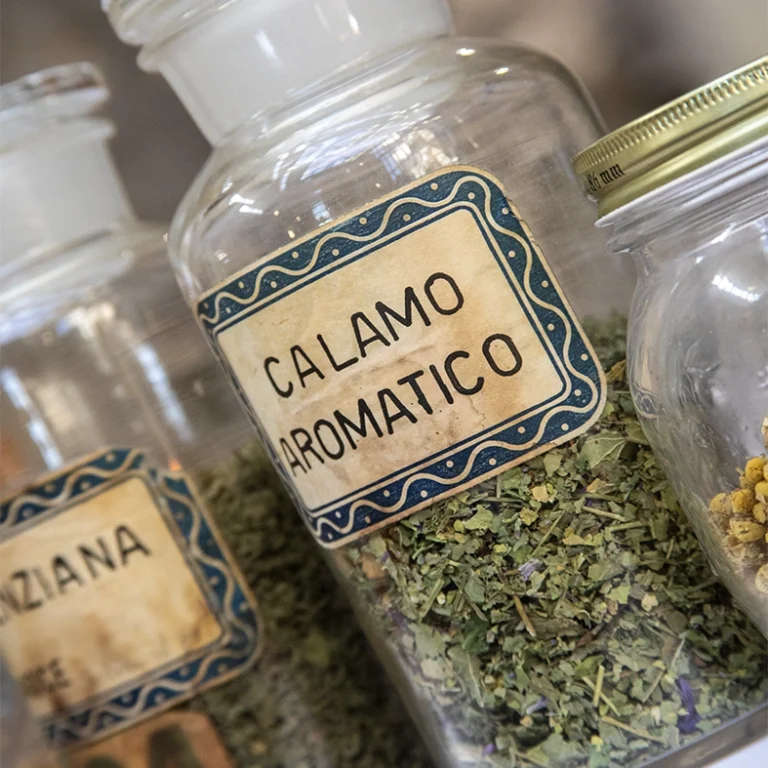 Siamo quello che mangiamo&nbsp;&nbsp;