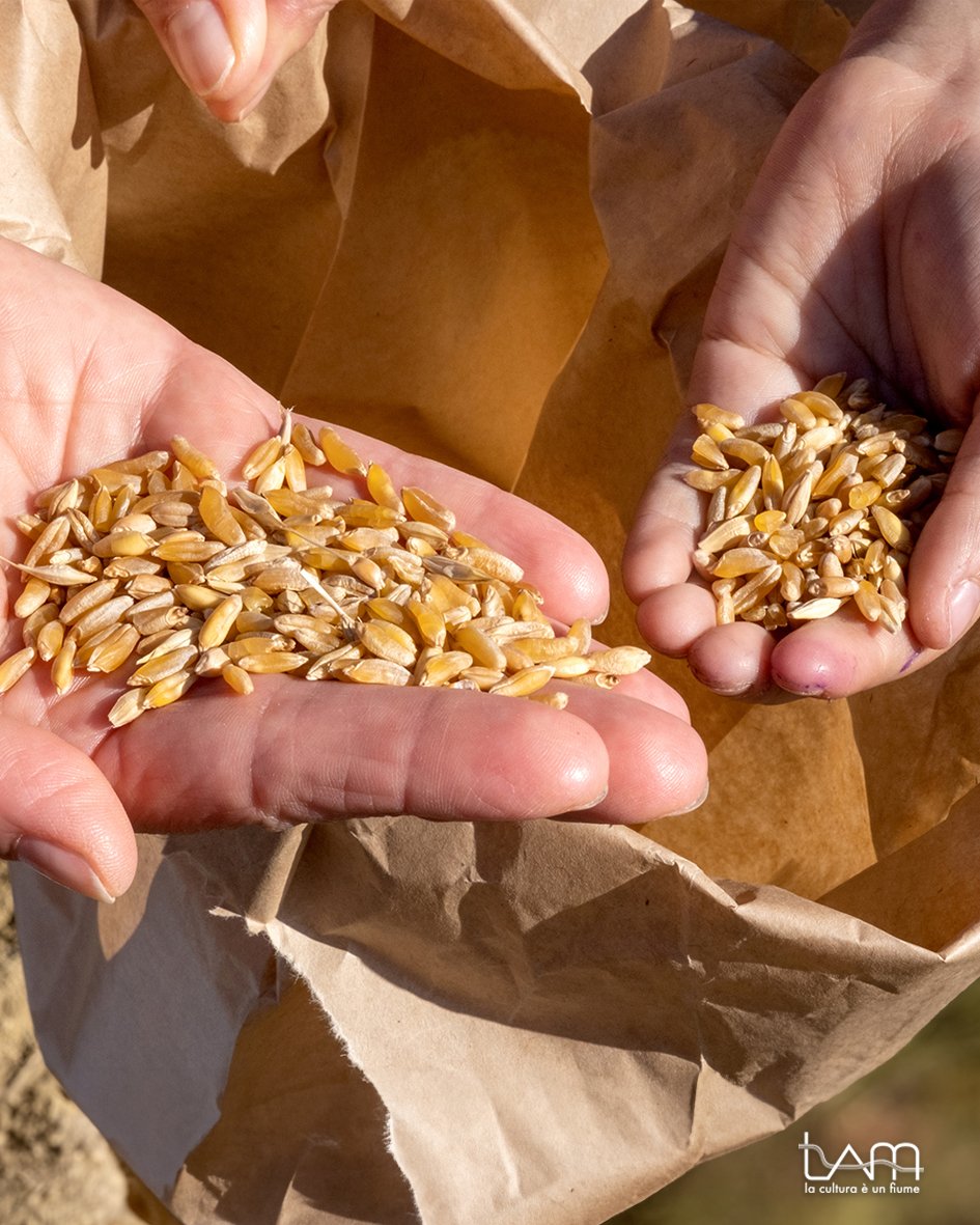 580375447_122207280548565452_3249688977369563033_n